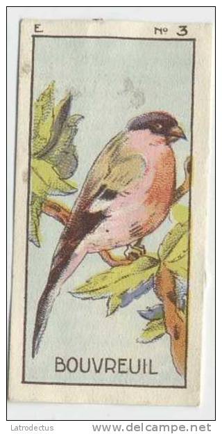 Jacques - 1933 - Oiseau, Birds, Vogels - E3 - Bouvreuil, Pyrrhula, Goudvink, Bullfinch - Jacques