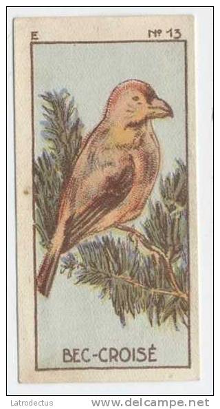 Jacques - 1933 - Oiseau, Birds, Vogels - E13 - Bec-croisé, Kruisbek, Crossbill, Loxia - Jacques