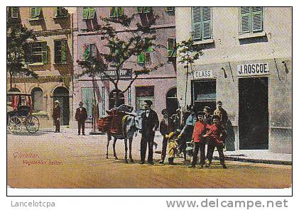 GIBRALTAR / VEGETABLES SELLER - Gibraltar