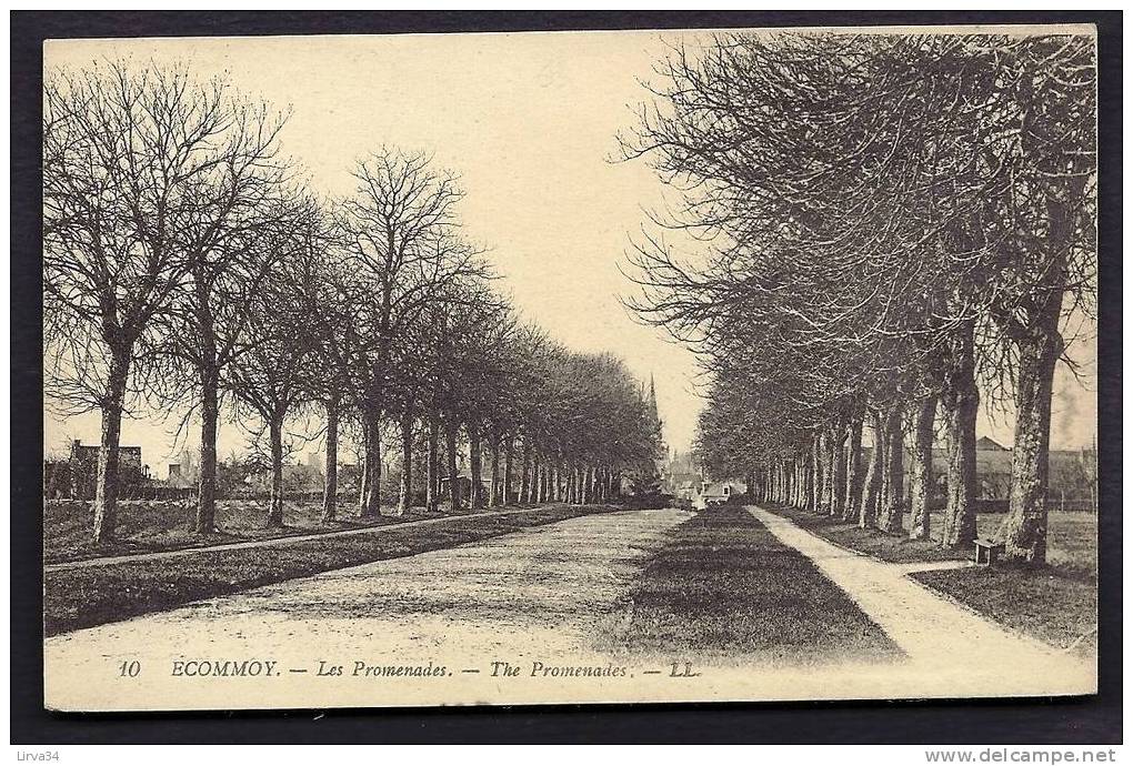 CPA  ANCIENNE- FRANCE- ECOMMOY (72)- LES PROMENADES EN GROS PLAN - Ecommoy