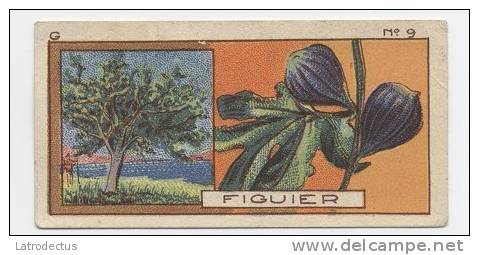 Jacques - 1933 - G9 - Figuier, Figs - Jacques