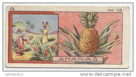 Jacques - 1933 - G13 - Ananas - Jacques