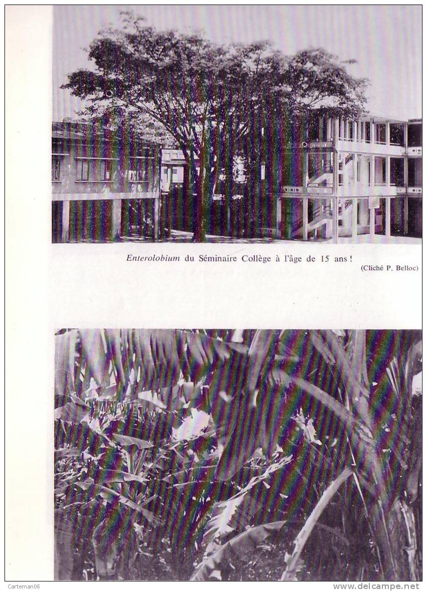 Livre - Dédicacé - D'autre Aspects De La Nature Aux Antilles Par R. Pinchon - Exemplaire Numéroté 80 - Outre-Mer