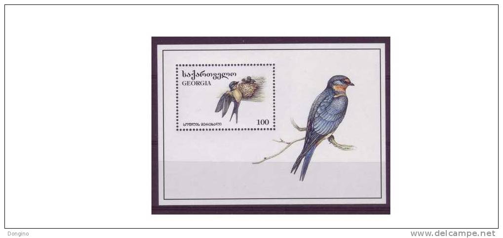 G141. Barn Swallow / Hirundo Rustica / Georgia / 1996 - Schwalben