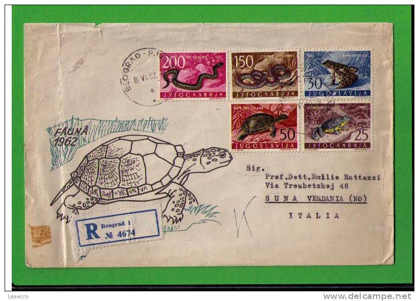 Tortues Reptiles Snakes Serpentes Faune Animals Animaux ( Crapaud Reinette Couleuvre Vipère ) Yugoslavija Gc963 - Turtles