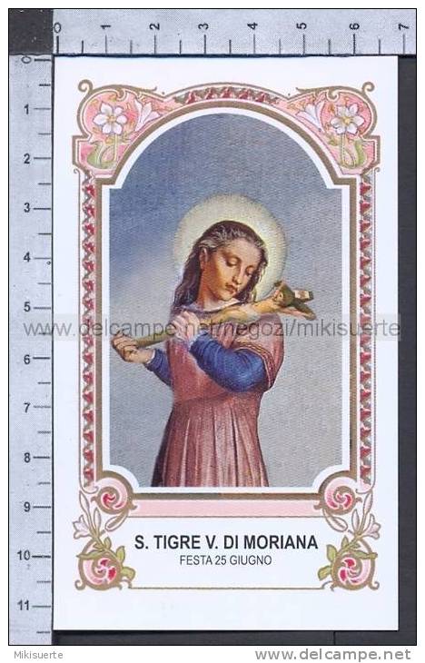 Xsa-76-10 S. Santa TIGRE TIGRIDE VERGINE DI MORIANA TECLA VALLOIRES MAURIENNE Santino Holy Card - Religion &  Esoterik