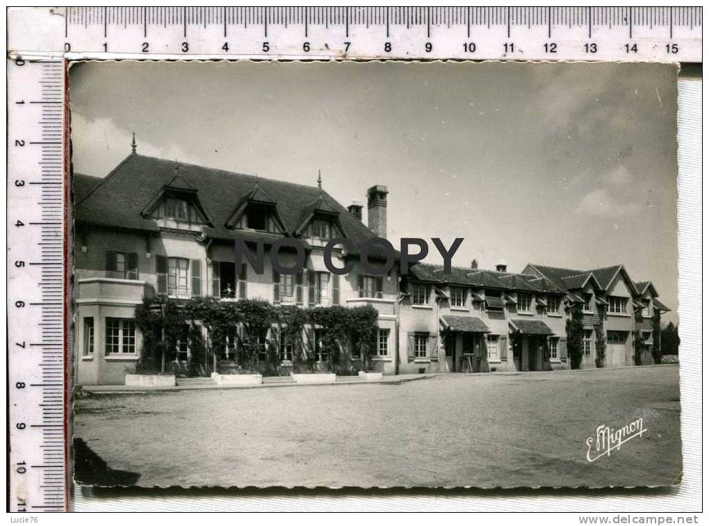 PONT SUR YONNE  -  Les  GRANDS GITRYS  - - Pont Sur Yonne