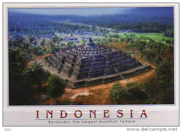 Vue Du Site De Borobudur   (île De Java)   Carte Postale Neuve - Indonésie