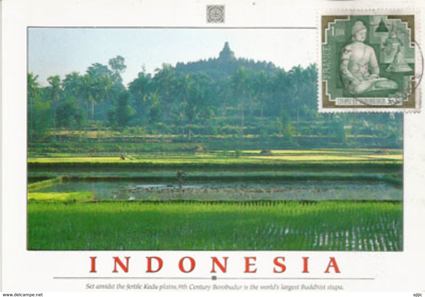 Vue Du Site De Borobudur.  ( Mahayana Buddhist Temple), Carte-maximum Indonesia. - Buddhism