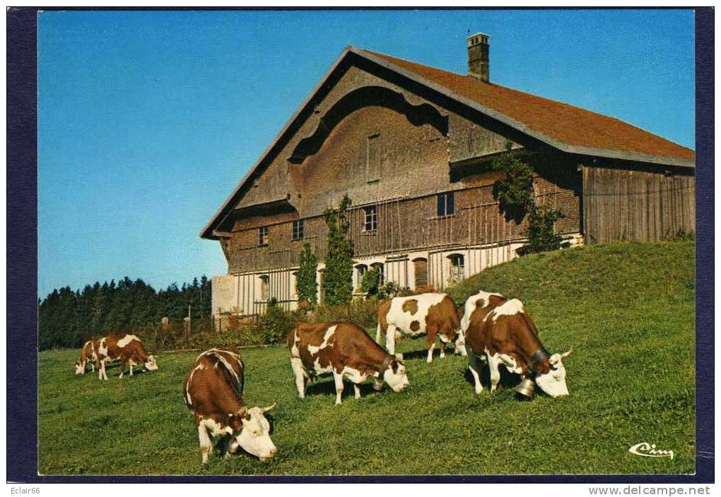 Franche -Comté  VIEILLE FERME FRANC-COMTOISE DU CHAUFFAUD   CPM  EDIT   CIM - Franche-Comté