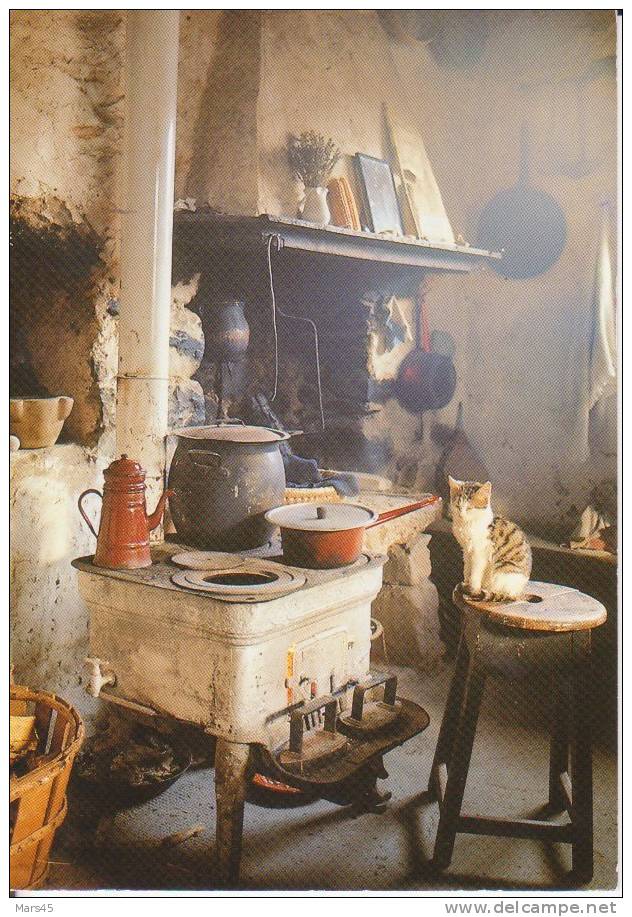 Au Coin Du Feu,intérieur D´une Maison Cévenole,cheminée,cuisini ére à Bois Godin,Chat,oblitération De Ganges - Ganges