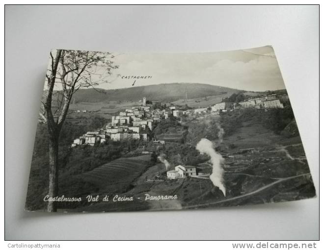 Castelnuovo Val Cecina Panorama Castagneti - Pisa