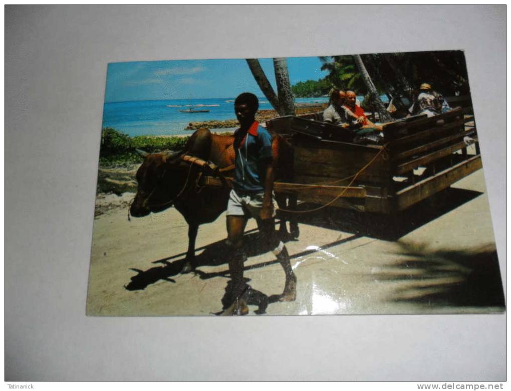 Ox Cart La Digue - Seychelles