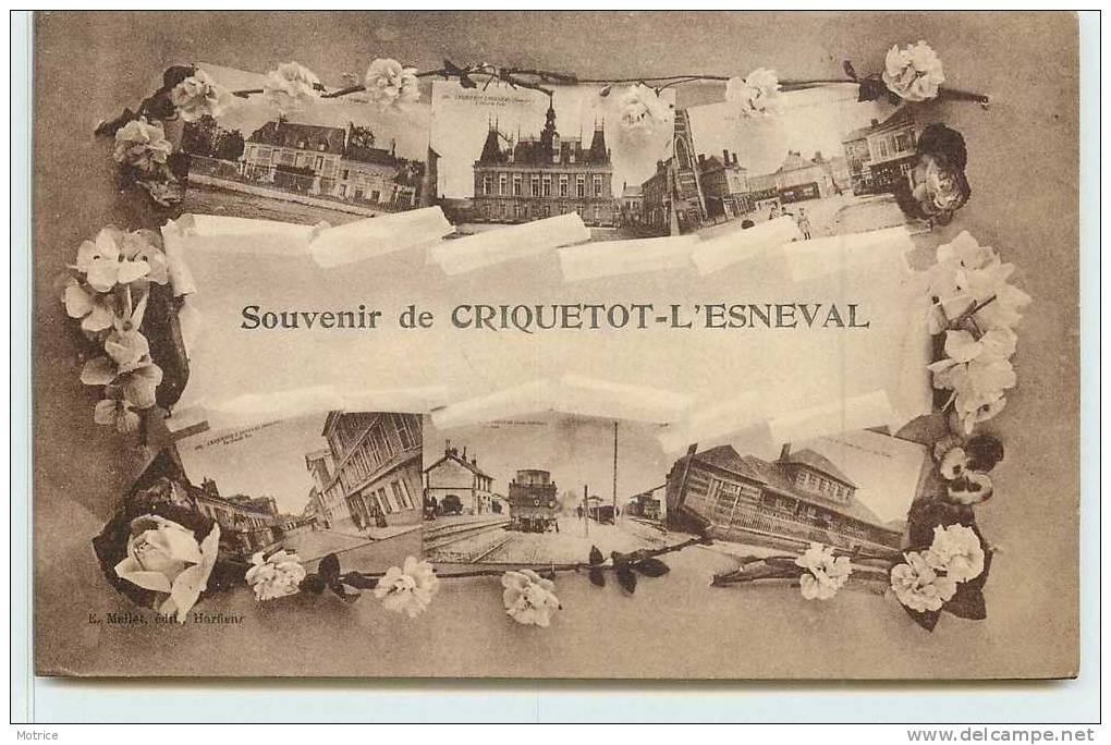 CRIQUETOT-L'ESNEVAL   -  Carte Multivues De La Ville. - Criquetot L'Esneval
