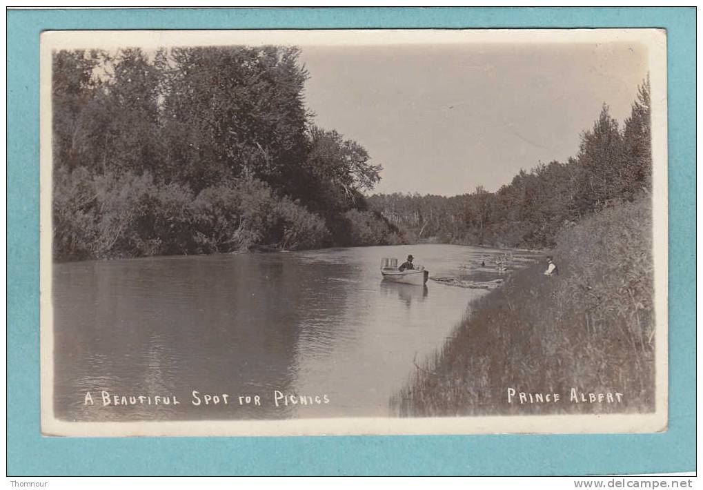 PRINCE  ALBERT   -  A Beautiful Spot For Picnics  -1911  -  BELLE CARTE PHOTO ANIMEE   - - Andere & Zonder Classificatie