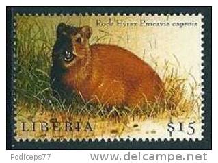 Liberia  2000  Kap-Klippschliefer  Mi-Nr.2958  Postfrisch / MNH - Rodents