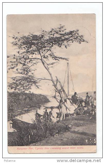 PO463# UGANDA - MUNYONYO PORT - ALBERO DI UCCELLI TESSITORI - BIRD'S NESTS  VG Mombasa 1906 - Oeganda