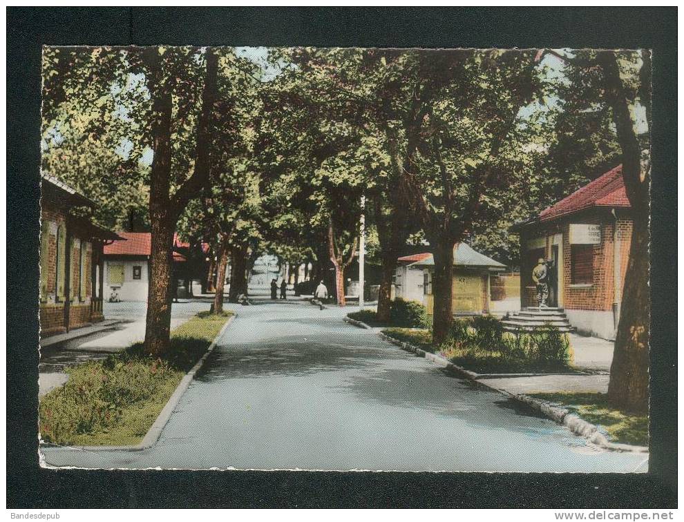 CPSM - Camp De MÜNSINGEN - Allée Centrale ( Animée Militaria Camp De Manoeuvre Des Forces Françaises En Allemagne - Münsingen