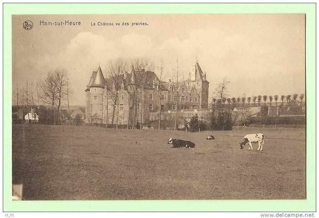 Ham Sur Heure - Le Chateau Vu Des Prairies - Ham-sur-Heure-Nalinnes