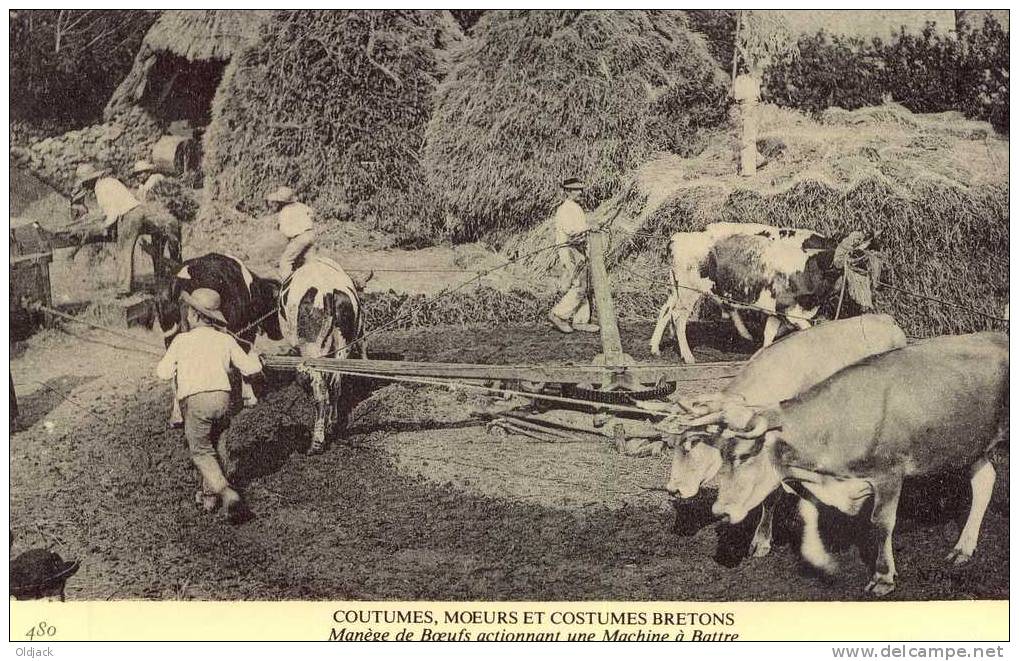 REPRO - Bretagne - Coutumes, Moeurs Et Costumes Bretons - Manège De Boeufs Actionnant Une Machine à Beurre - Bretagne