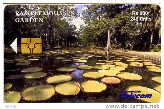 @+ Ile Maurice - Pamplemousses Garden - 240 Units (April 2003 - 30 000ex) - Mauritius