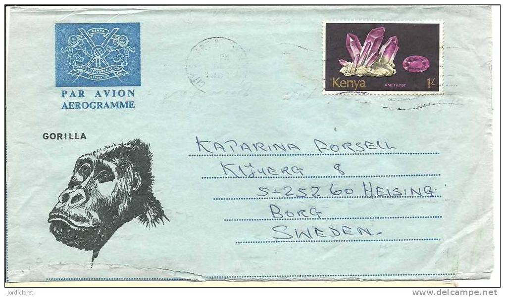 CARTA KENIA - Gorillas