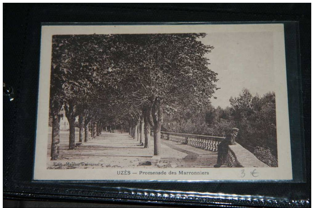 30 - Uzes - Promenade Des Marroniers - Animée - Uzès