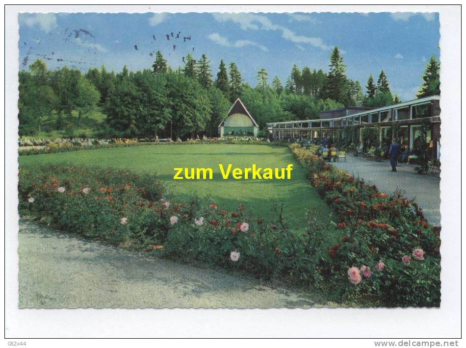 Braunlage, Kurpark Mit Wandelhalle Und Musikpavillon - Oberharz