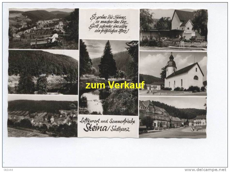 Steina / Südharz, Luftkurort Und Sommerfrische, 7 Ansichten - Wildemann