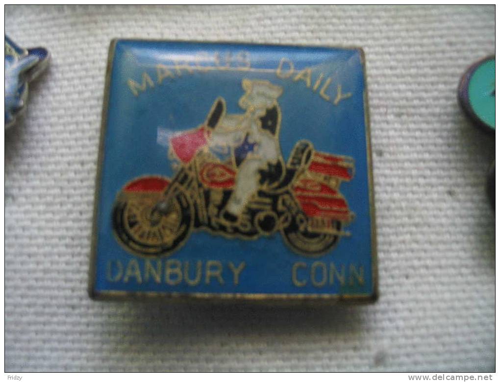 Pin's D'une Vache Sur Une Moto: Marcus Daily à DANBURY (USA) - Motorbikes