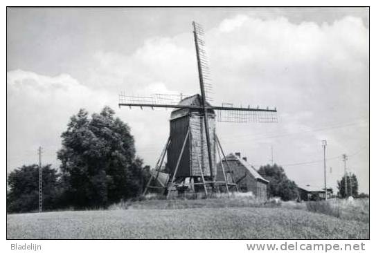 LANGEMARK (W.Vl.) - Molen/moulin/mill - Bijzondere Opname Van De Steenakkermolen, Opgeschoord Voor De Restauratie (1987) - Langemark-Poelkapelle