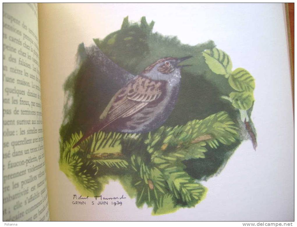 PZ/35 Giovanna PROMENADES Aux Oiseaux - Ill. R.Hainard 1952 Uccelli - Animali