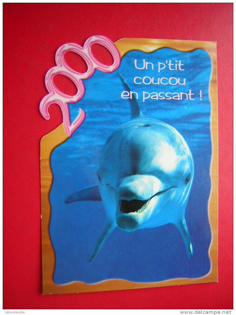 CPM-THEME ANIMAL-DAUPHIN -2000-UN P'TIT COUCOU EN PASSANT-NON VOYAGEE-PHOTO RECTO /VERSO - Dolphins