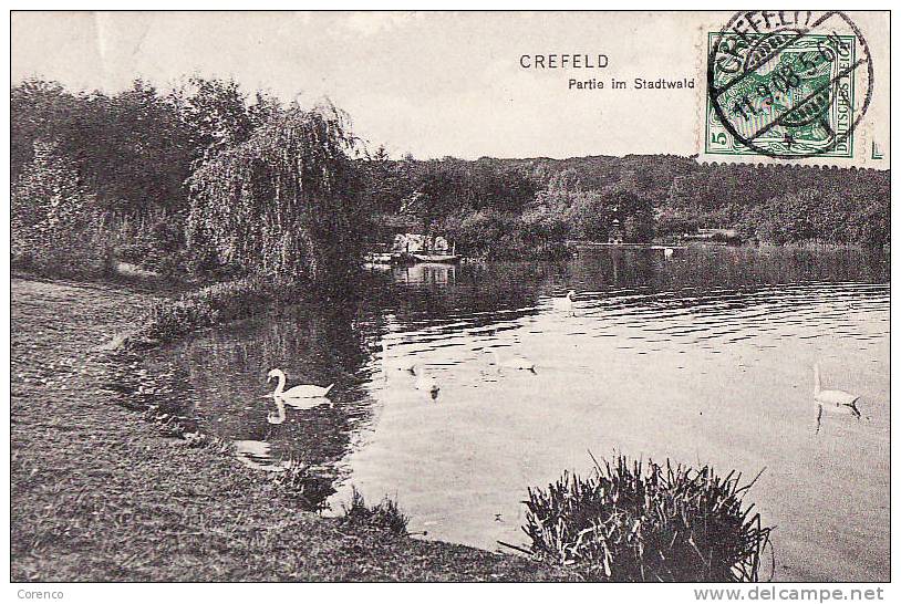 6059  CREFELD   Partie Im Stadtwald  Circulée 1908 - Krefeld