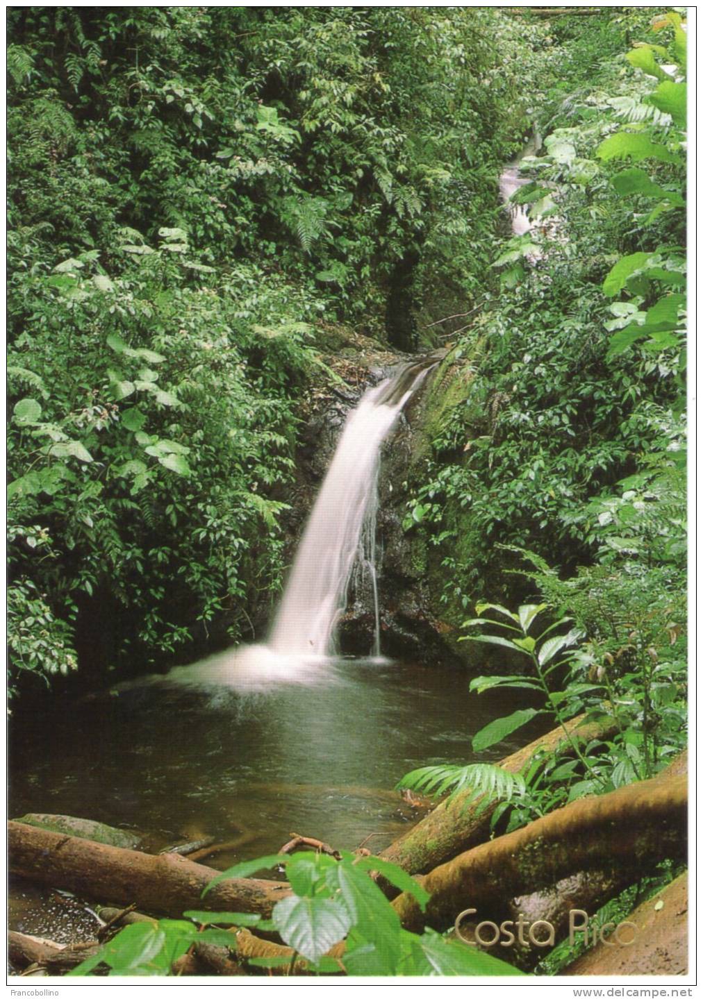 COSTA RICA - THE MONTEVERDE CLOUD FOREST RESERVE / WATERFALLS - Costa Rica
