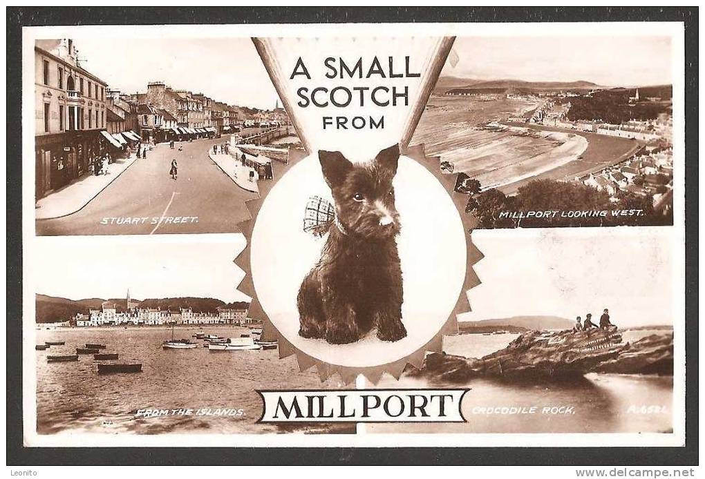 A Small SCOTCH From MILLPORT Valentine's Post Card 1948 - Ayrshire