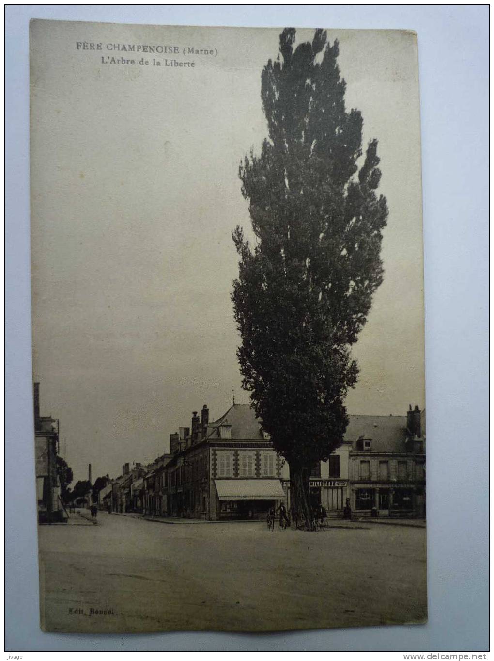 FERE-CHAMPENOISE  (Marne)  :  L'Arbre De La LIBERTE - Other & Unclassified