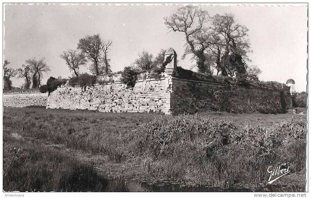 Brouage- Les Vieux Remparts Et Les Fossés XVIIè Siècle - Oeuvre De Vauban - Autres & Non Classés