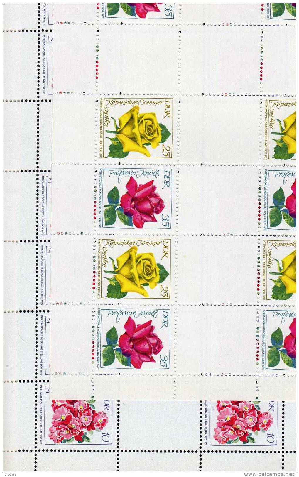 Bergers- Izetka- Knöll-Rosen 1972 DDR 1778/0 MHB 14/5A Plus HBg. A14/5 ** 153€ IGA Rosen Für Hefte Sheetlet From Germany - Se-Tenant