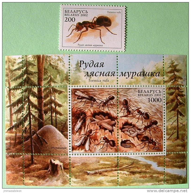 Belarus 2002 Ant Ants - MINT Stamp + MS Of Stamp And 2 Labels - Belarus