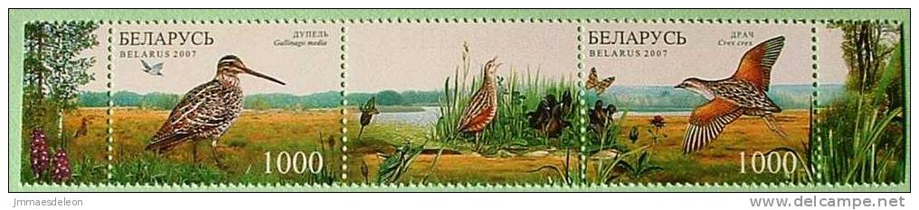 Belarus 2007 Birds Butterflies - MINT Set - Bielorussia