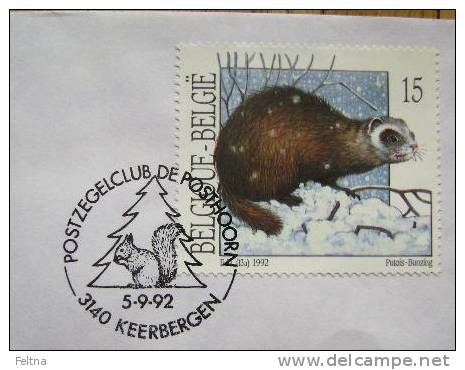 1992 BELGIUM CANCELATION ON COVER 1 SQUIRREL RODENT - Rodents