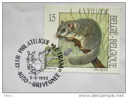 1992 BELGIUM CANCELATION ON COVER 2 SQUIRREL RODENT - Roedores