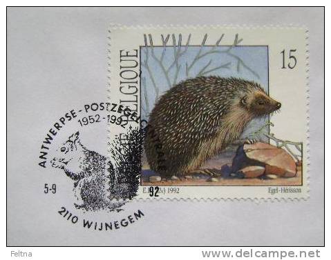 1992 BELGIUM CANCELATION ON COVER 3 SQUIRREL RODENT - Roedores