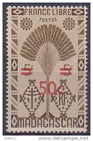 µ2 - MADAGASCAR -  N° 290 - NEUF SANS CHARNIERE - Other & Unclassified