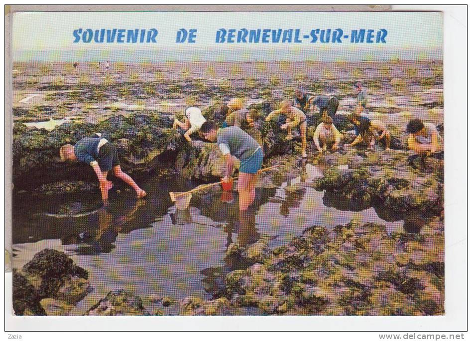 76.595/ Souvenir De BERNEVAL SUR MER (cpm) - Berneval