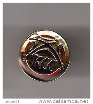 BASKETBALL FEDERATION OF SERBIA New Rare Pin - Basketbal