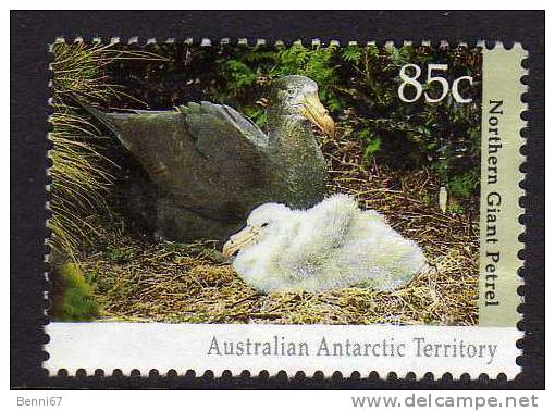 AAT Australia Antarctic 1992 Oiseau Bird Petrel Yv 92 Obl - Andere & Zonder Classificatie