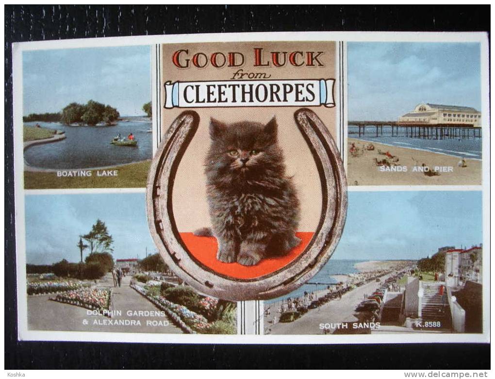 Greetings From CLEETHORPES - 1962 - Valentine  - Lot 28 - Altri & Non Classificati