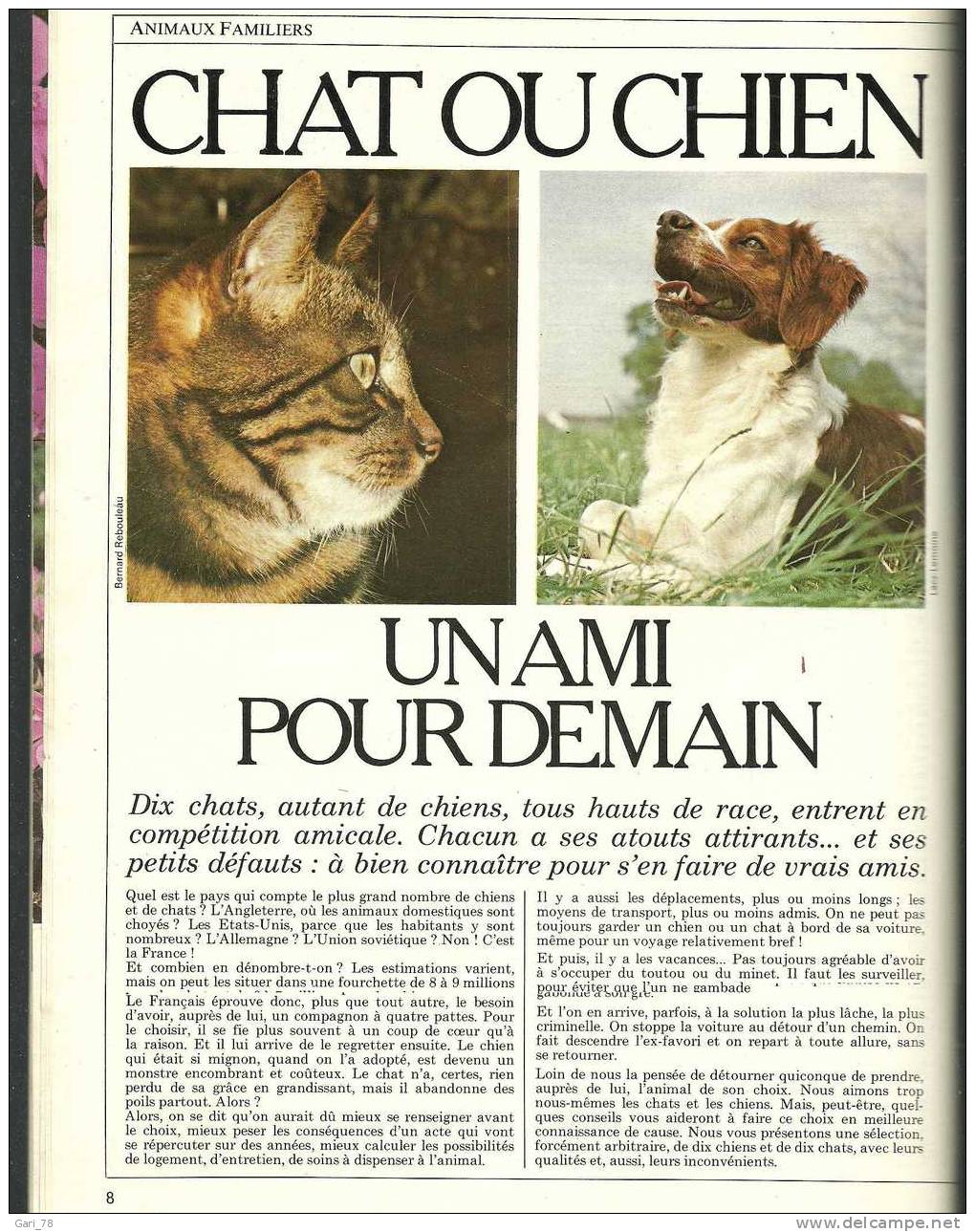 RUSTICA N° 687 Du 23/02/1983 : Chat Ou Chien, Formez Votre Vigne, La Grenade, Le Millepertuis - Jardinage